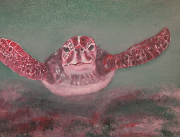 Ina Marlowe: Sea Turtle