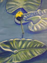 Ina Marlowe: Water Lily